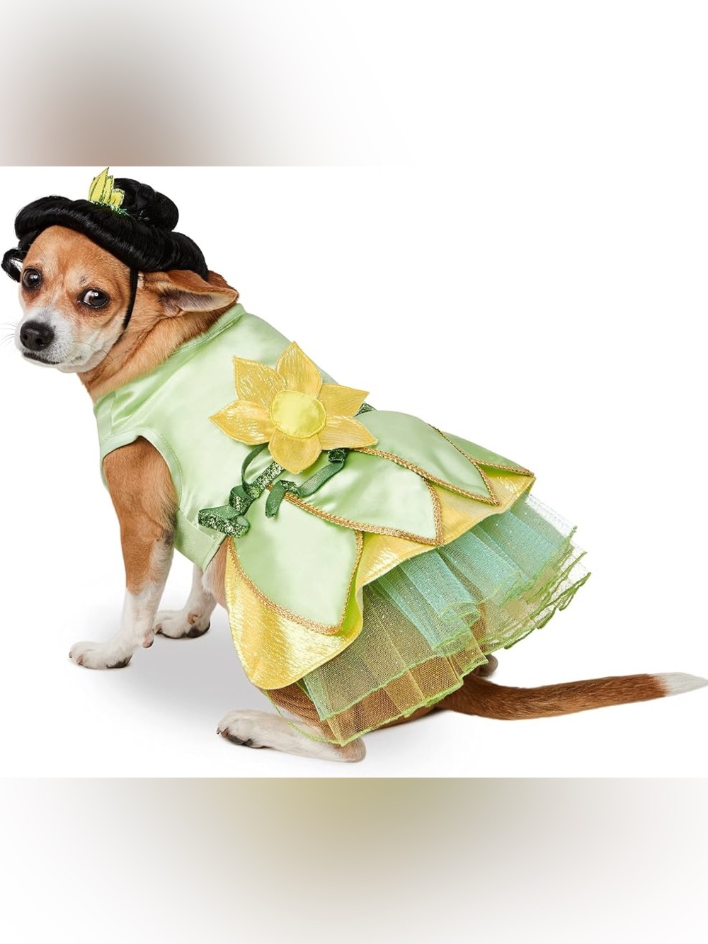 Disney Princess Tiana Dog Costume – Brand New With Tags (NWT) 🐸👑